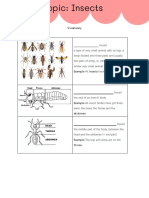 Nine Handout 2 Insects