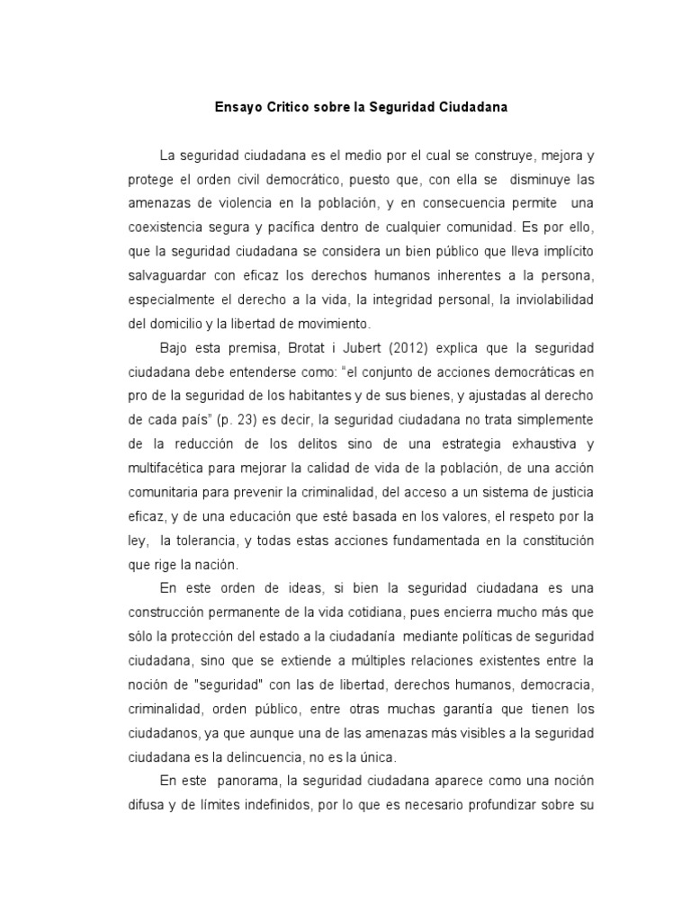 Ensayo cr tico sobre seguridad ciudadana pdf polic a valores