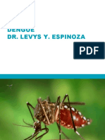 Dengue - APS 1