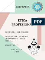 Perfil Profesional Huamani Crisostomo