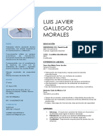 Luis Javier Gallegos Morales CV