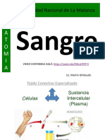 25 - Sangre y Hematopoyesis