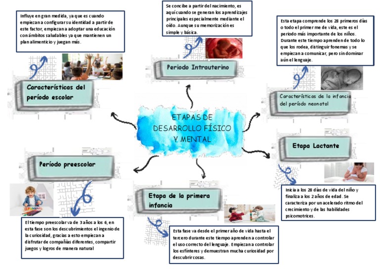 Mapa Mental 3 | PDF | Educación de la primera infancia | Infancia