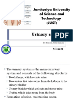 MLS221 Urinary System