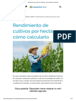 Rendimiento de Cultivos Por Hectárea - Cómo Calcularlo - Agroptima