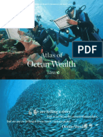 Atlas of Ocean Wealth