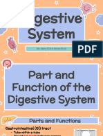 Digestive System Notes