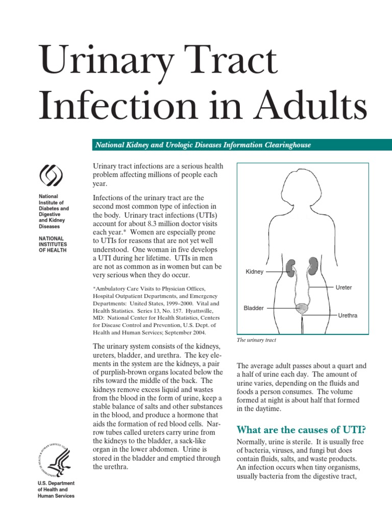 Understanding Urinary Tract Infections | PDF | Urinary Tract Infection ...