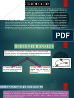 Expo Redes Neuro