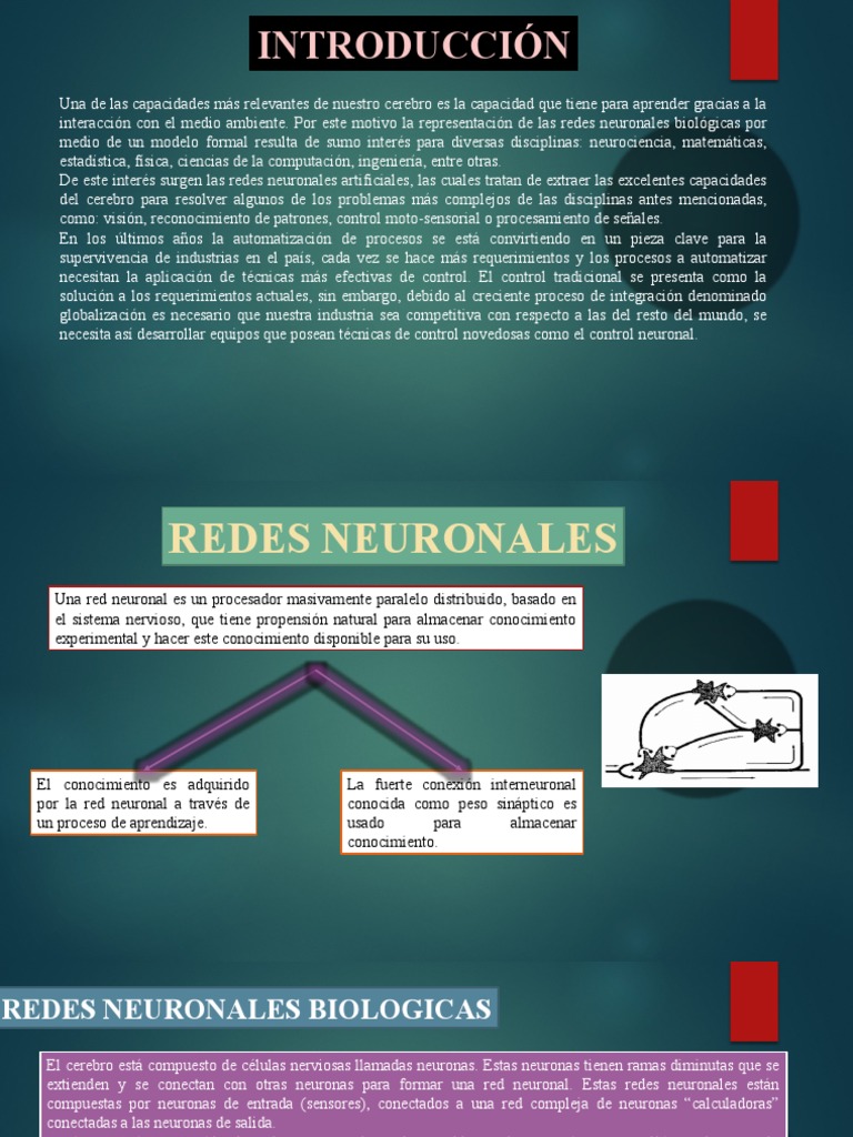 Expo Redes Neuro | PDF | Neurona | Red neuronal artificial