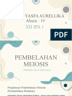 Meiosis-Arjenie Yasfa Aurellika-XII IPA 1-1
