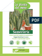 Scheda-Sanseveria-il-Germoglio-web