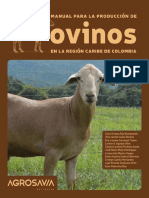 Manual para La Producción de Ovinos