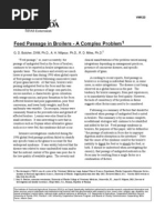 Feed Passage in Broilers