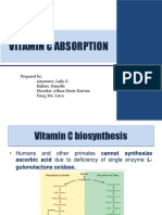 Vitamin C Absorption