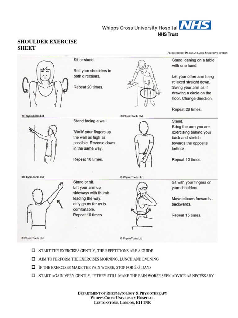 shoulderexercise _1_ | PDF
