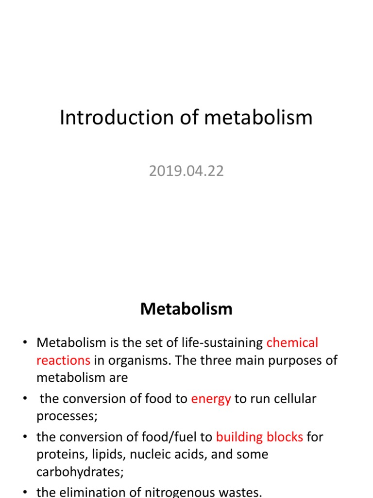 Introduction to Metabolism Overview | PDF | Metabolism | Electron ...