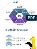 Bài 8.2 - Trực khuẩn + Xoắn khuẩn