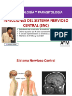 S5 Sistema Nervioso