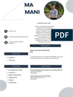 Blue Professional Modern CV Resume