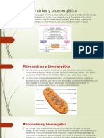 Mitocondrias y Bioenergética
