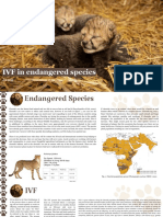 Crit D - IVF For Endangered Species