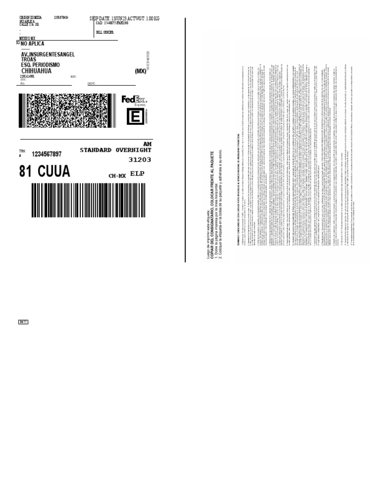 FedEx Mexico Tracking Details | PDF