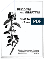 Budding and Grafting Fruit Trees in The Home Garden