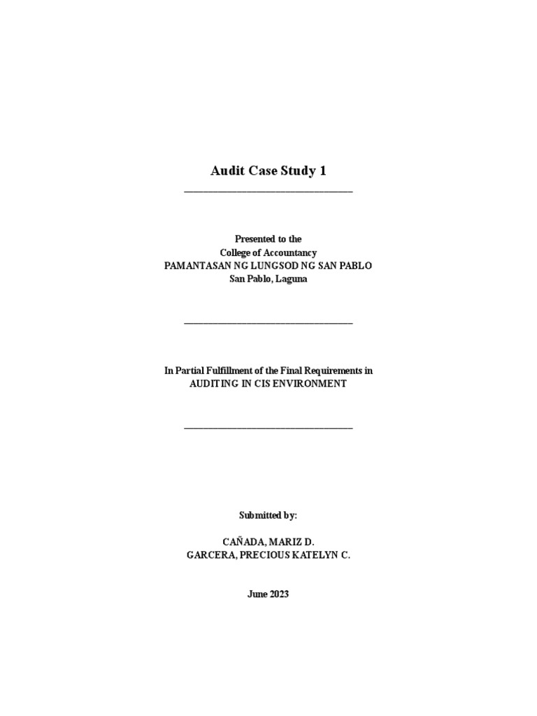 CañadaGarcera Audit Case Study PDF Financial Audit Audit
