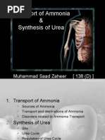 Download Urea Cycle 138 by api-26706669 SN6559110 doc pdf