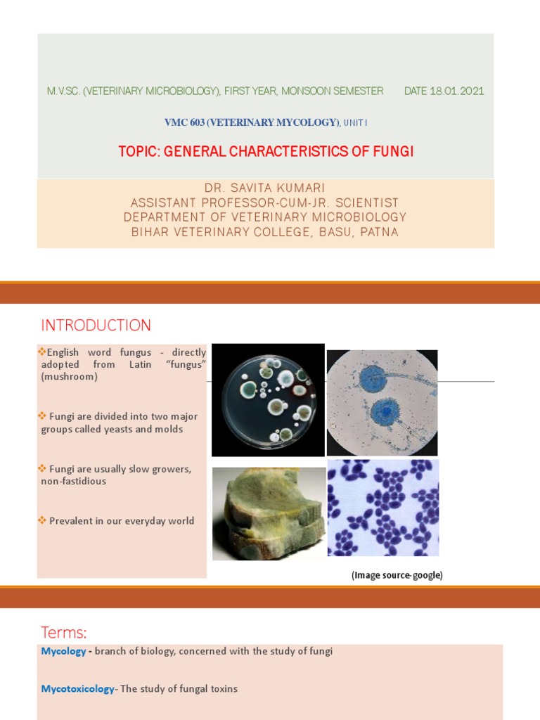 General Characteristics of Fungi in Mycology | PDF | Fungus | Yeast