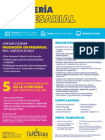 Plan de Estudios Ingenieria Empresarial Virtual