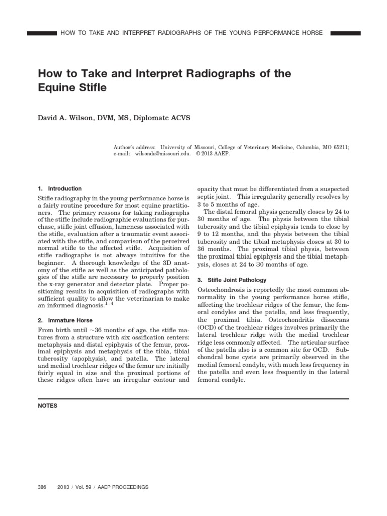 Radiograph Stifle | PDF | Knee | Anatomical Terms Of Location