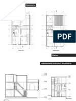 Ficha Levantamiento Individual