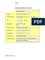 Modelo Informe Dea