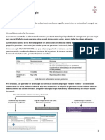 T.4.1 Endocrinologia