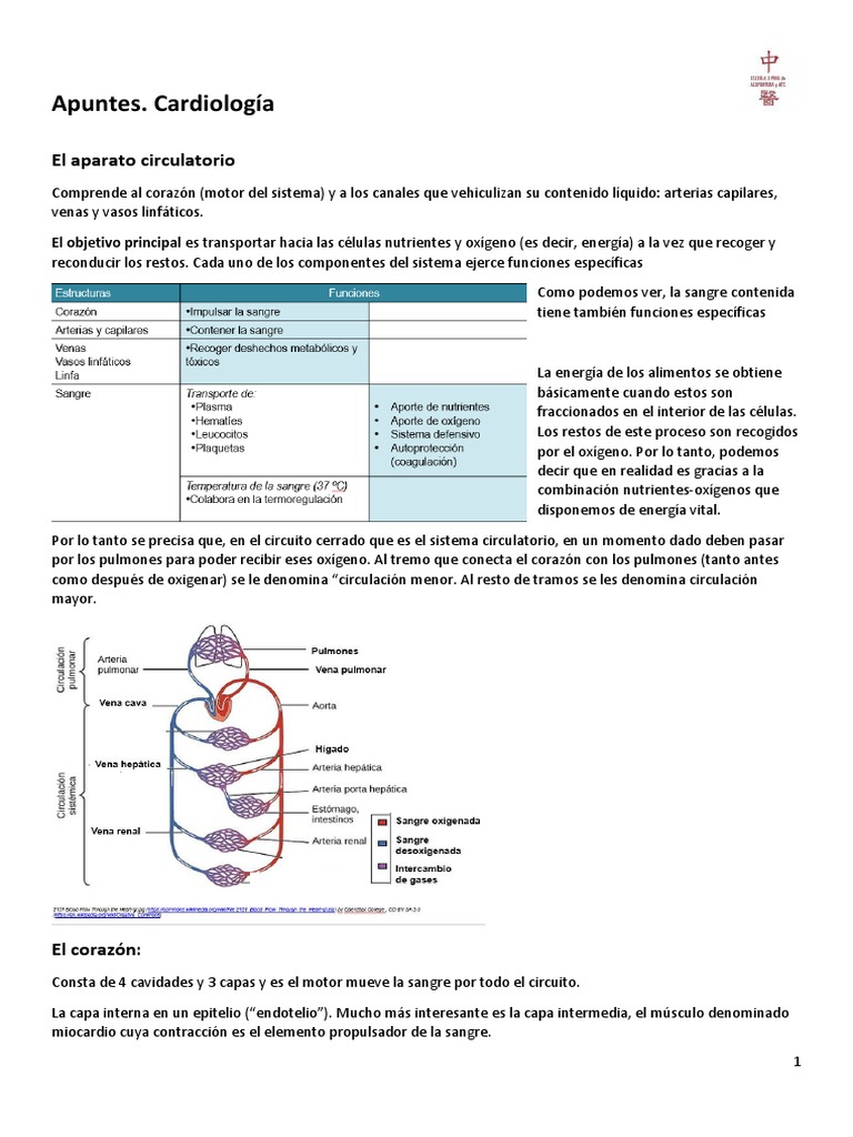 T.4.2 Cardiologia PDF Sistema circulatorio Ventrículo (corazón)