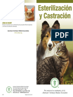 Spay Neuter Brochure Spanish