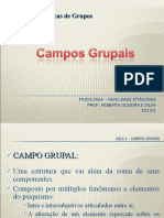Aula 3 - Campos Grupais