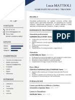 232 Curriculum Vitae Italiano