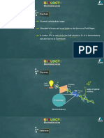 Biomolecules-03 Allen Class Notes