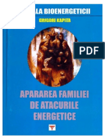 Grigori Kapiţa V4 Apărarea Familiei de Atacurile Energetice 0 7