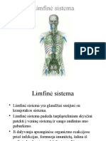 LimfinÄ - Sistema