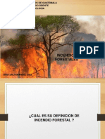 Incendios Forestales. Primera Parte