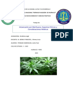 Trabajo Monográfico de Medicina Legal - Intoxicación Por Marihuana