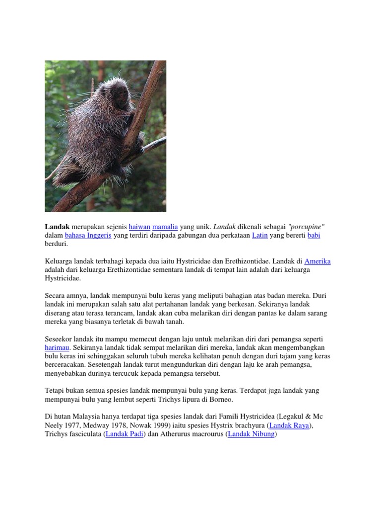 Landak Merupakan Sejenis Haiwan Mamalia Yang Unik Pdf