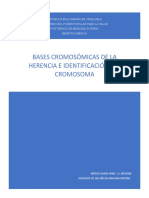 Bases Cromosomicas e Identificacion Del Cromosoma