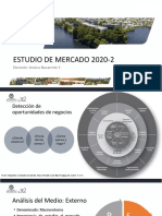 FEP Estudio de Mercado 2020-2