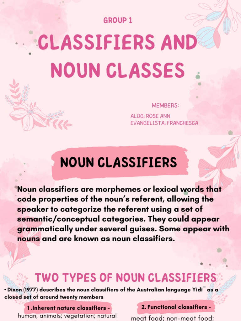 CLASSIFIERS and NOUN CLASSES PDF Noun Grammatical Number