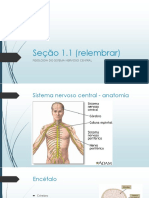 Anatomia Do Sistema Nervoso